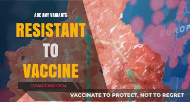 Vaccine Resistance: Are Emerging Variants Evading Current Immunizations?