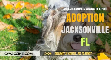 ASPCA Animals Vaccinated Before Adoption in Jacksonville, FL?