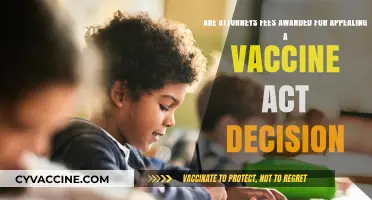 Vaccine Act Appeals: Can You Get Attorney Fees?