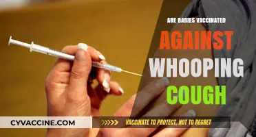 Are Babies Vaccinated Against Whooping Cough? Essential Immunization Facts