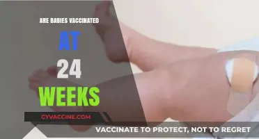 Vaccinating Babies at 24 Weeks: What Parents Need to Know