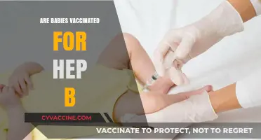 Are Babies Vaccinated for Hep B? Understanding the Standard Immunization Schedule