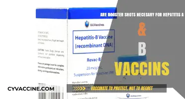 Hepatitis A & B Vaccines: Do Booster Shots Matter?