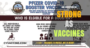 Boosters vs. Vaccines: Comparing Strength and Long-Term Immunity Effectiveness