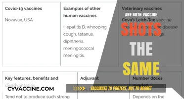 Are Both Vaccine Shots Identical? Understanding Dose Differences and Effectiveness