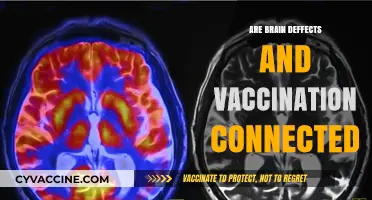 Exploring the Link Between Brain Defects and Vaccination: Facts vs. Myths
