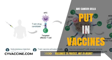 Debunking Myths: Are Cancer Cells Really Put in Vaccines?