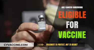 Cancer Survivors and Vaccines: Eligibility, Safety, and Health Guidelines