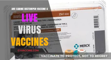 Canine Distemper: Live Virus Vaccines Explained