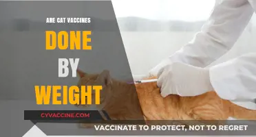Do Cat Vaccines Depend on Weight? Essential Feline Health Insights