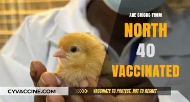North 40 Chicks: Vaccination Status and Health Insights