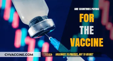 Global Vaccine Costs: Who's Paying and How Much?