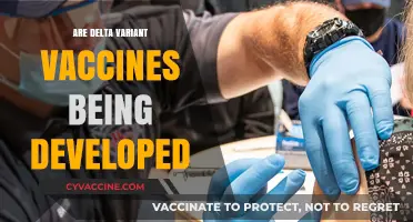 Delta Variant Vaccines: Current Development Status and Future Prospects