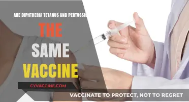 Diphtheria, Tetanus, and Pertussis: One Vaccine, Three Diseases