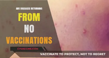 The Resurgence of Preventable Diseases: Are Vaccinations Becoming Neglected?