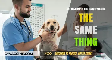 Distemper and Parvo: Are These Vaccines Interchangeable?