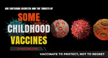 Exotoxins: Secretion, Vaccine Targets, and Children's Health
