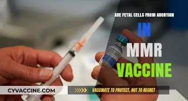 Fetal Cells in MMR Vaccines: Abortion's Dark Legacy