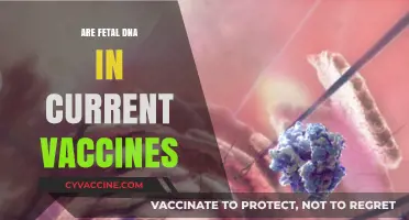 Fetal DNA in Vaccines: Separating Fact from Fiction and Fear