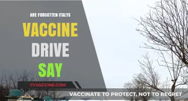 Forgotten Italy's Vaccine Drive: Challenges, Successes, and Lessons Learned