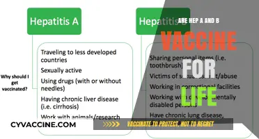 Hep A and B Vaccines: Lifetime Protection?