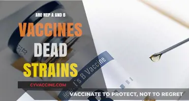 Hep A and B Vaccines: Dead Strains?