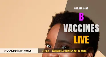 Are Hepatitis A and B Vaccines Live? Understanding Vaccine Types