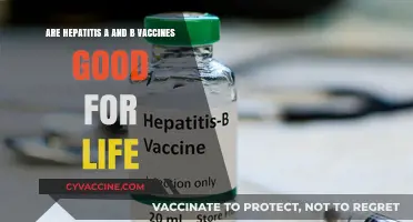 Hepatitis A and B Vaccines: How Long Do They Last?