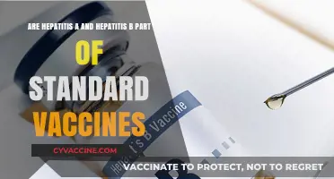 Hepatitis Vaccines: Are Hep A and B Standard?