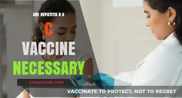 Hepatitis B & C Vaccines: Are They Essential for Prevention?