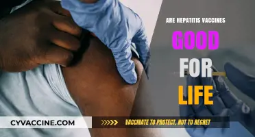 Hepatitis Vaccines: Lifelong Protection or Periodic Booster Need?