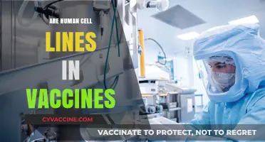 Human Cell Lines in Vaccines: Myths, Facts, and Safety Explained