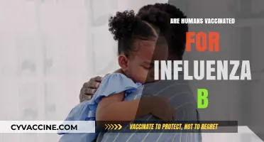 Understanding Influenza B Vaccination: Are Humans Protected Against This Strain?