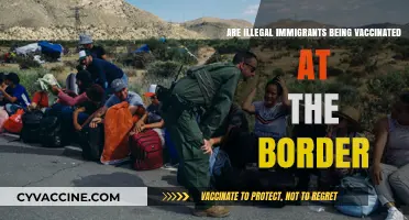 Vaccinating Undocumented Migrants: A Border Health Issue