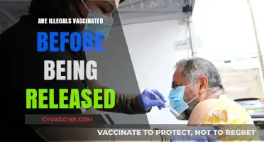 Are Undocumented Immigrants Vaccinated Before Release? Facts and Concerns