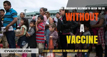 US Entry Rules: Vaccines and Immigrants