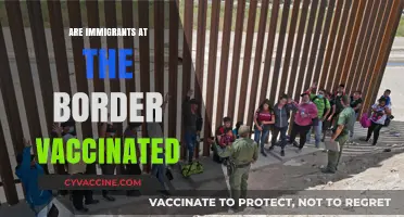 Are Border Immigrants Vaccinated? Examining Health Policies and Practices