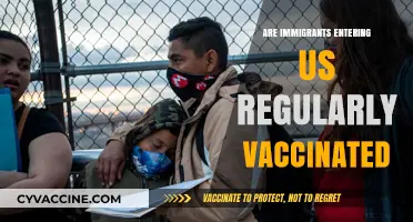 Are Immigrants Entering the US Regularly Vaccinated? Facts Revealed