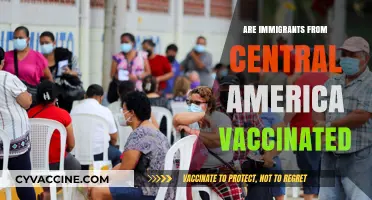 Central American Immigrants: Vaccination Status and Public Health Concerns