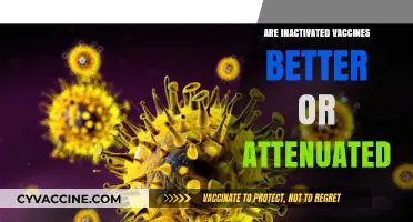 Inactivated vs. Attenuated Vaccines: Which Offers Superior Protection?