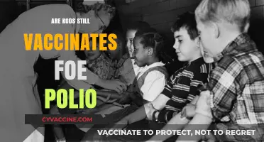 Are Kids Still Vaccinated for Polio? Current Practices Explained