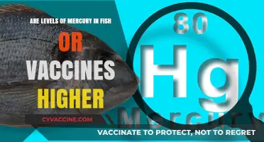 Mercury in Fish vs Vaccines: Which Has Higher Levels?