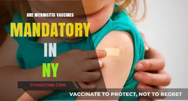 Are Meningitis Vaccines Mandatory in NY? What You Need to Know