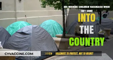 Migrant Children: Are They Vaccinated Upon Arrival?