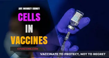 Monkey Kidney Cells in Vaccines: Facts, Myths, and Safety Explained