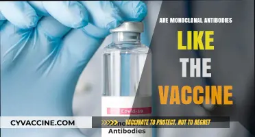Monoclonal Antibodies vs. Vaccines: Understanding Their Unique Roles in Immunity