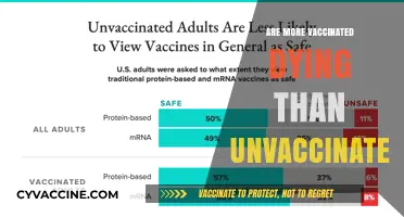 Vaccinated vs. Unvaccinated: Analyzing Mortality Rates and Misinformation Trends