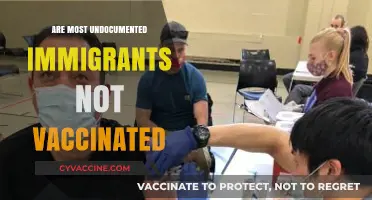 Undocumented Immigrants and Vaccination: Debunking Myths and Addressing Concerns