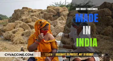 Are Most Vaccines Made in India? Unveiling the Country's Role