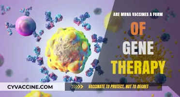 mRNA Vaccines: Gene Therapy or Not?